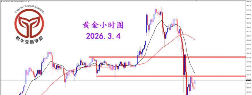 2026.3.4 图文交易计划：黄金大幅下行 短期波动极端