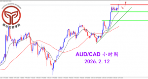 2026.2.12 图文交易计划：多头持续挺进 澳加持续向上