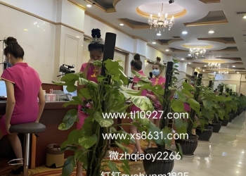 微【zh qiao y 2266】圣淘沙公司会员账号开户网址