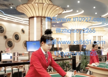 微【zh qiao y 2266】腾龙公司注册游戏会员登录进入窗口