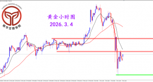 2026.3.4 图文交易计划：黄金大幅下行 短期波动极端