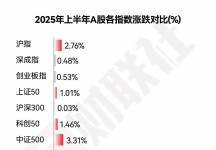 2025年中盘点-2025上半年十大牛熊股出炉