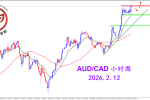 2026.2.12 图文交易计划：多头持续挺进 澳加持续向上