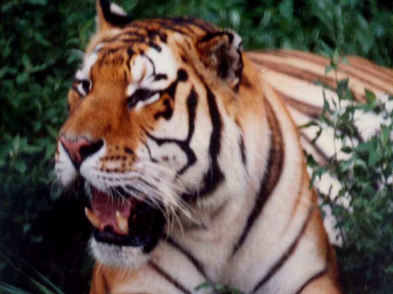 05.jpg