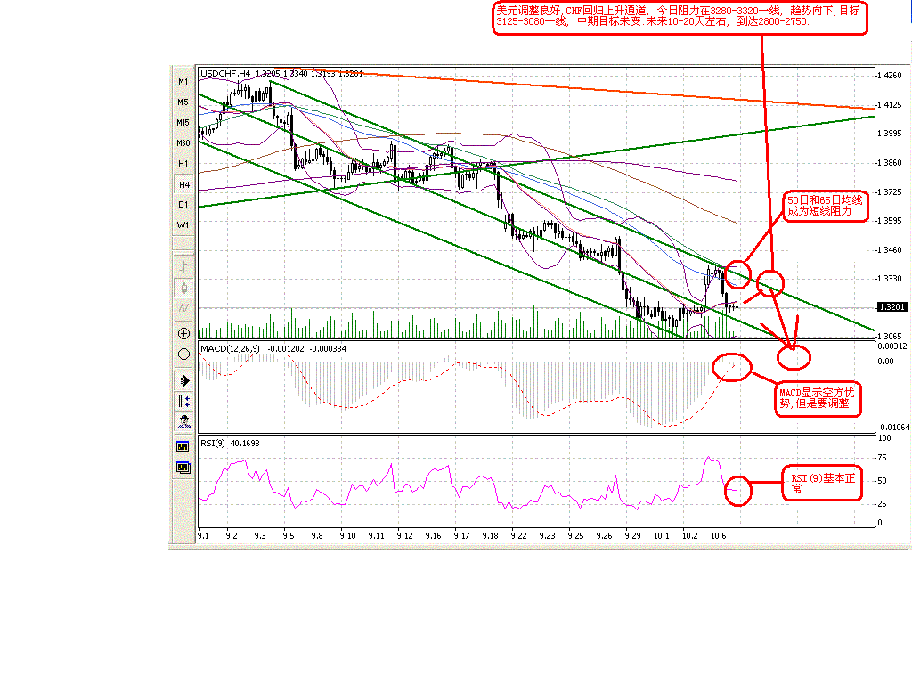 1007CHF.GIF