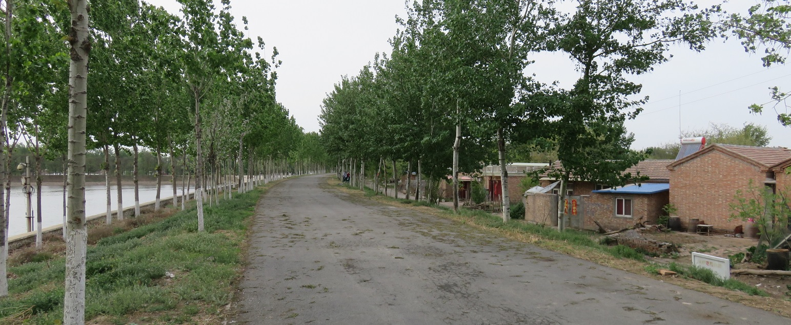 107.jpg