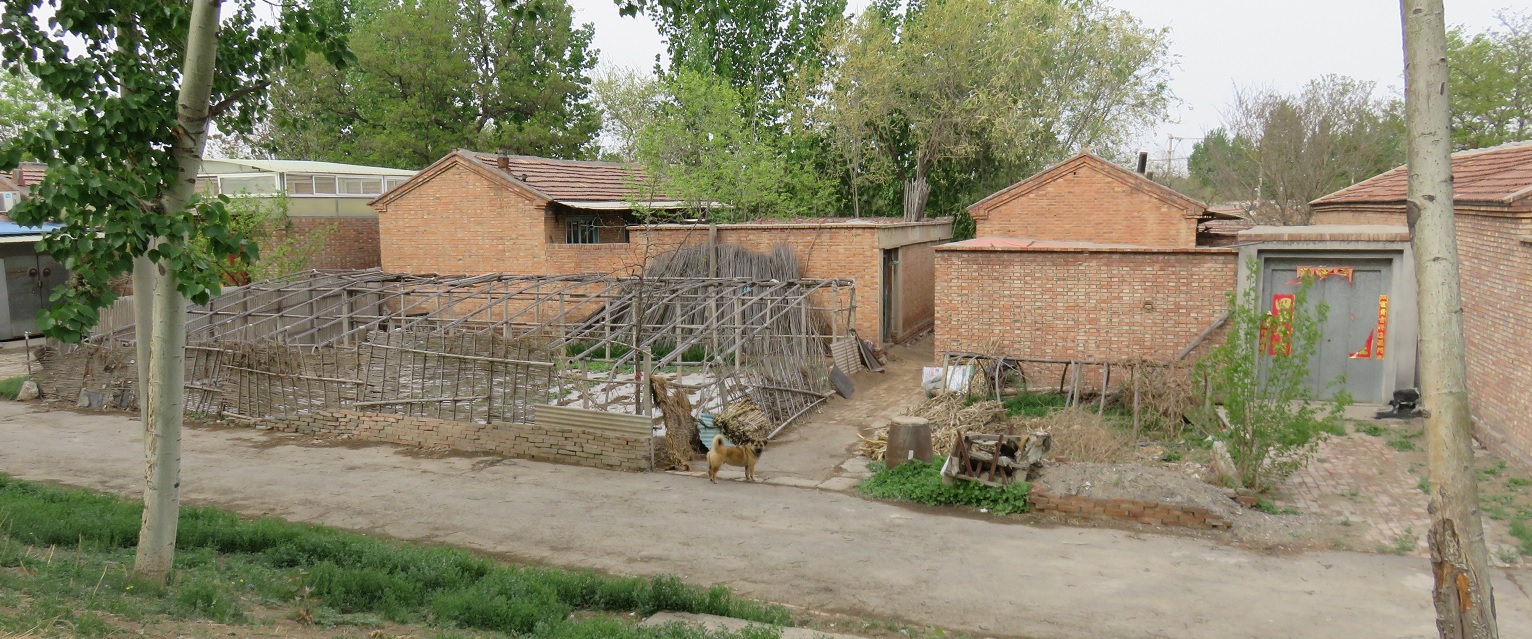 115.jpg
