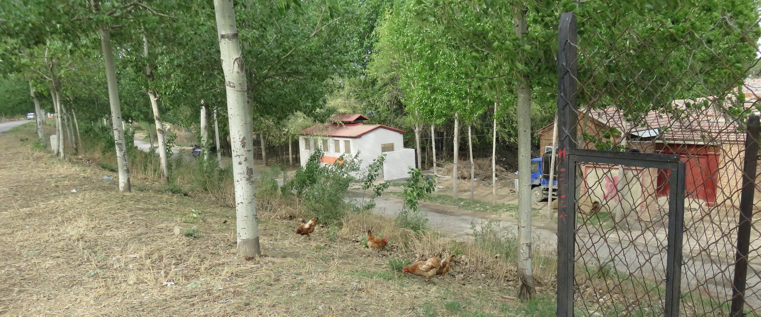 127.jpg