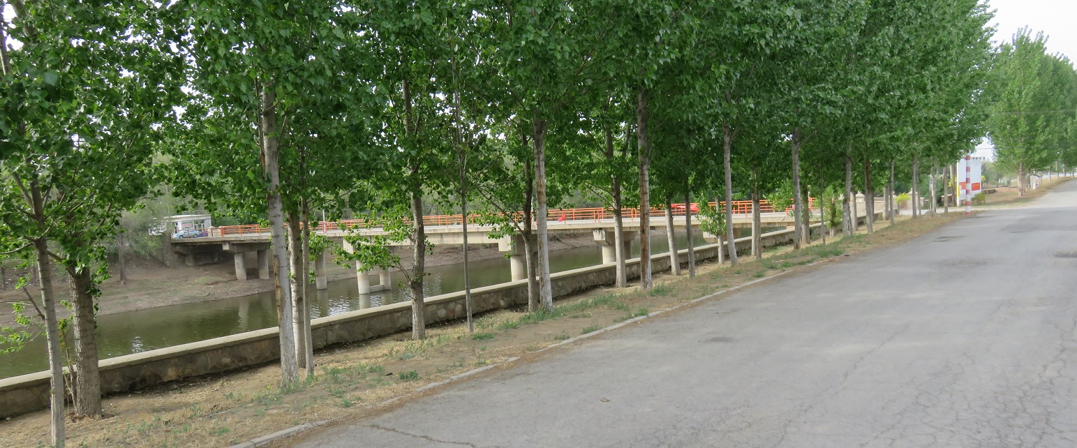 131.jpg
