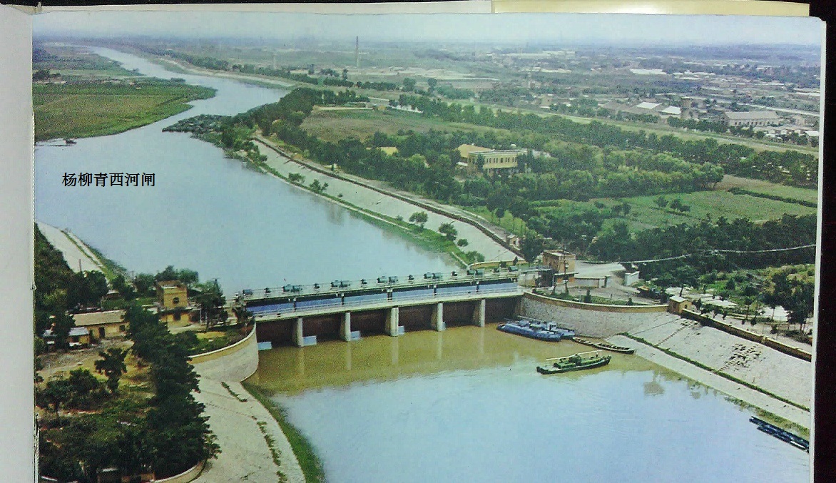 195.jpg