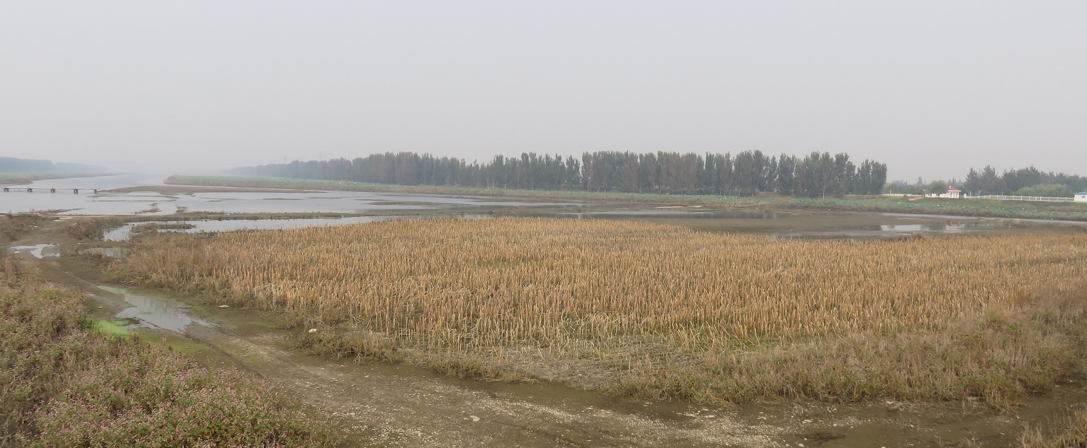 219.jpg