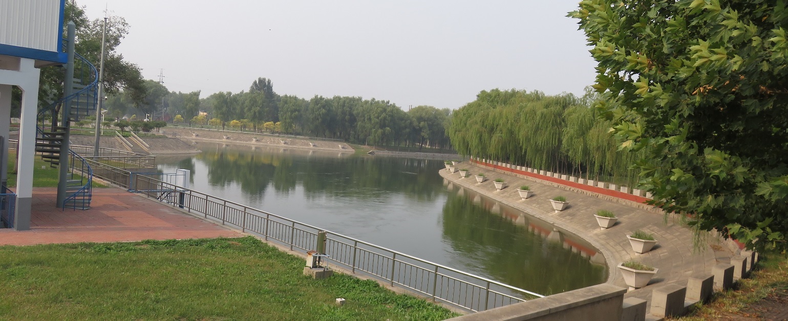 223.jpg