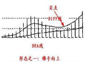 佛手向上.jpg