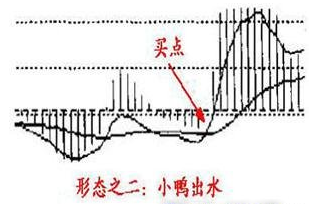 小鸭出水.png