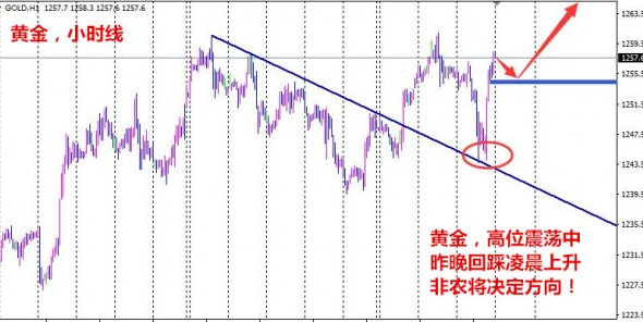 黄金01.jpg