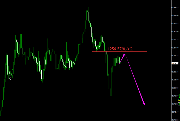 T9SGQ9)AYB)4RI1P1ZGJ.png