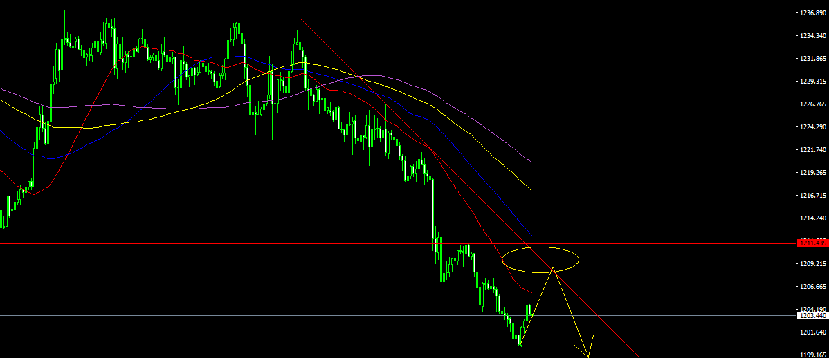 XAUUSD-STDH1.png