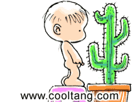 photo.gif
