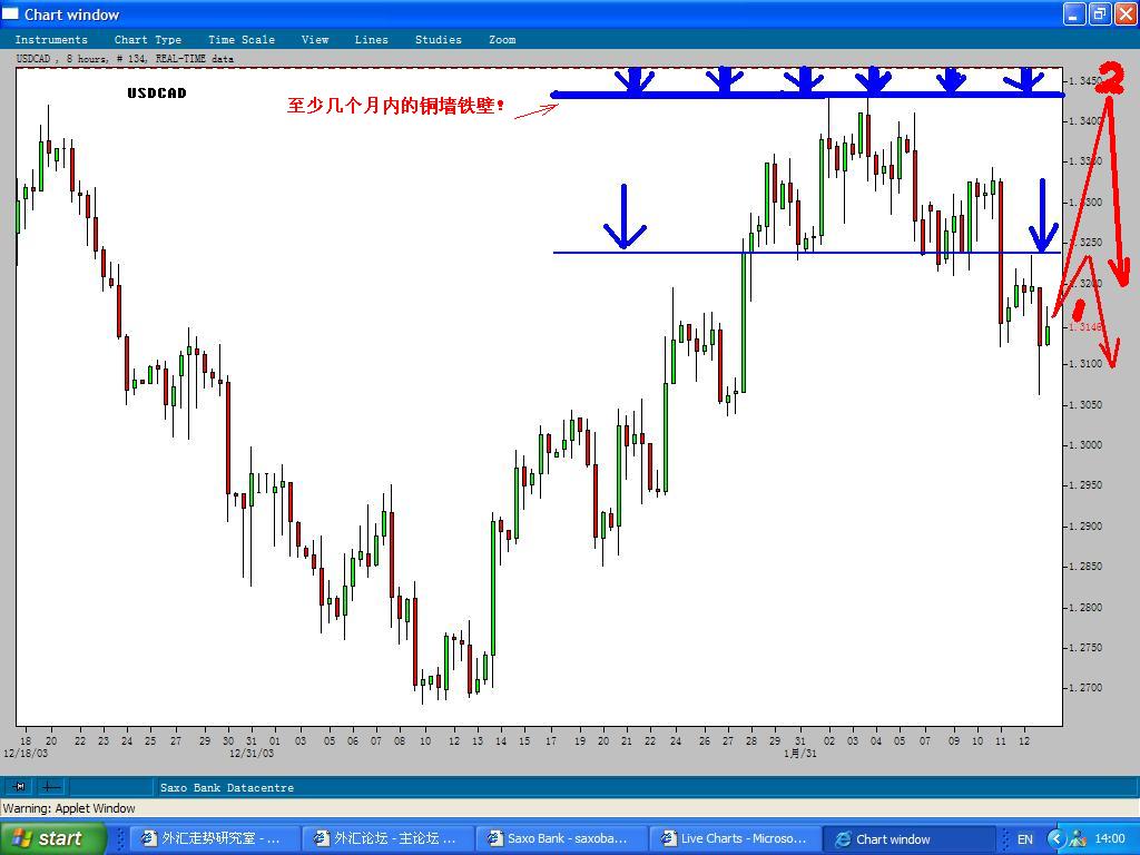 Pridiction_USDCAD_16-20Feb2004.JPG