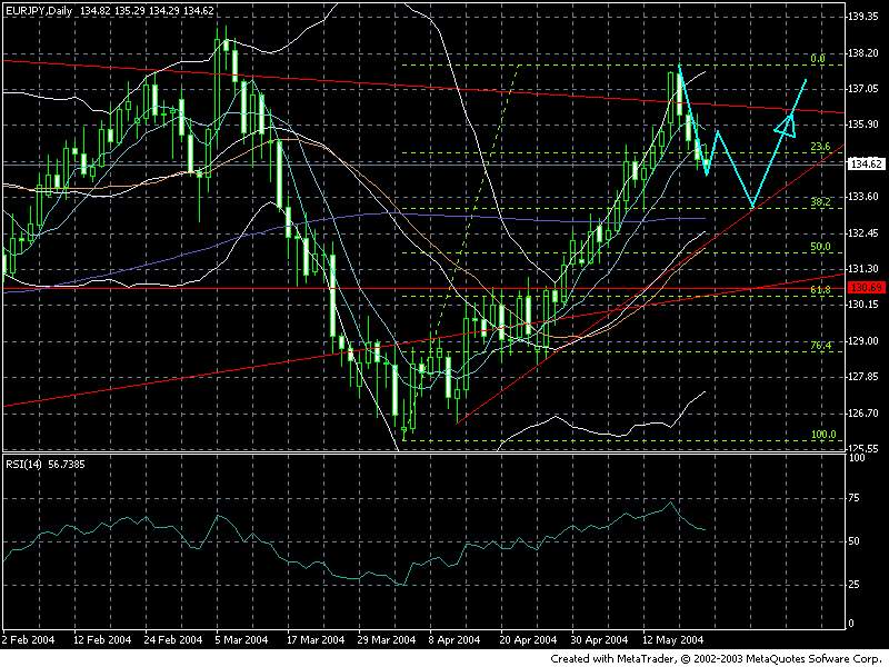 eurjpy20040522.JPG