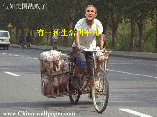 假如美国战败了.jpg