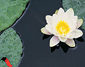 p1.jpg