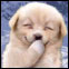 89F4B2B8FF97DBE50CBF34872022B568.JPG