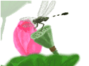 Image00003.gif