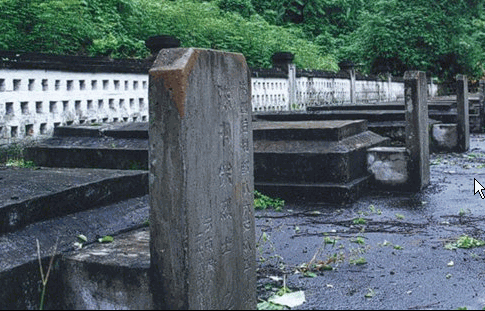 207.gif
