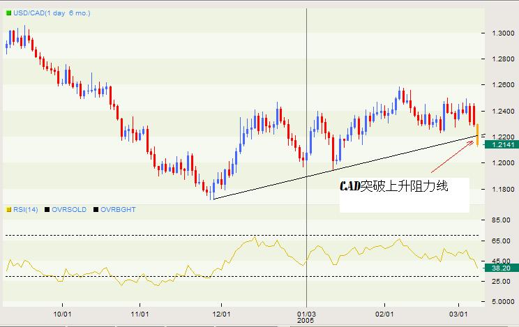 USDCADͼ