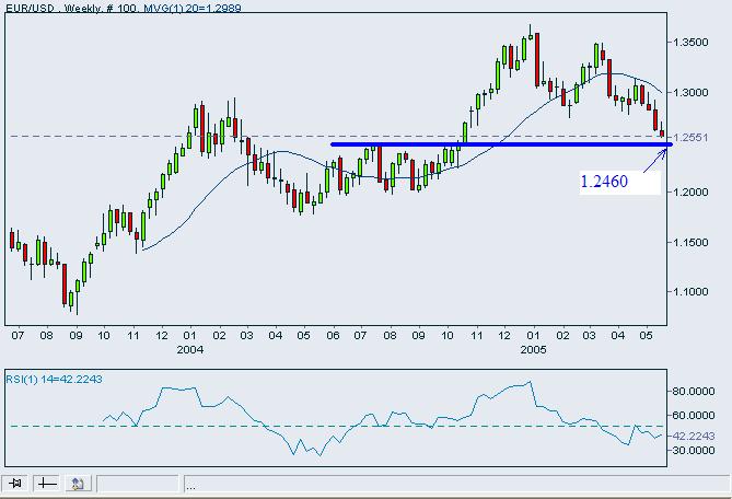 EURUSD-21May2005-a.JPG