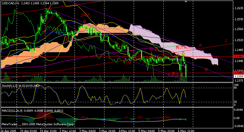 cad 1Сʱ.gif