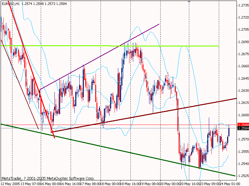 eur20050524.gif