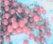 ӣ01.GIF