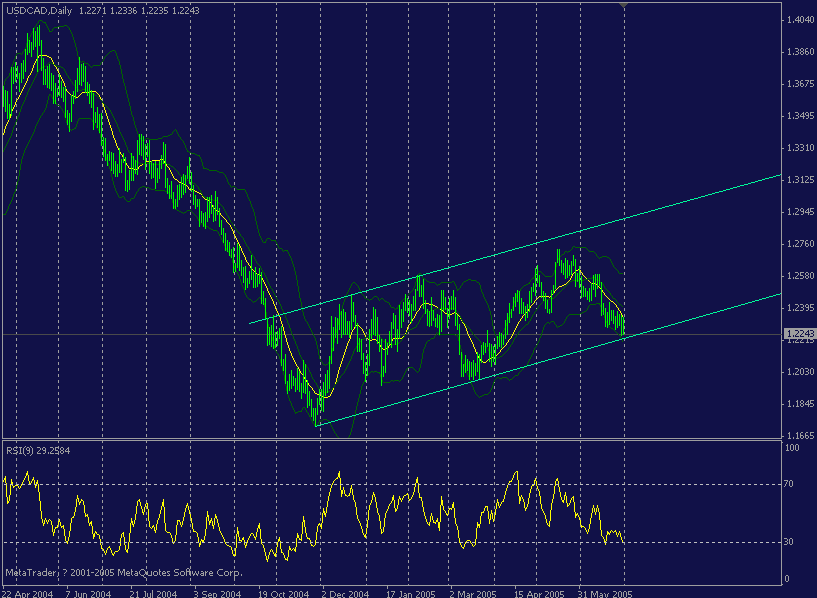 cad1day.gif