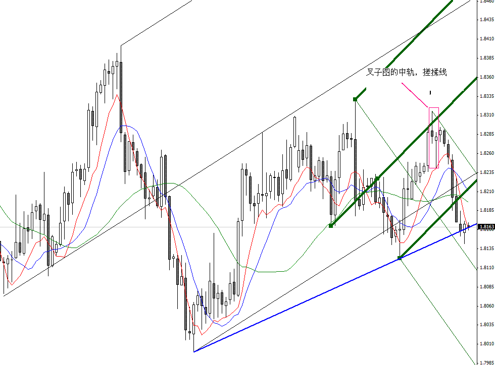 cat1.gif