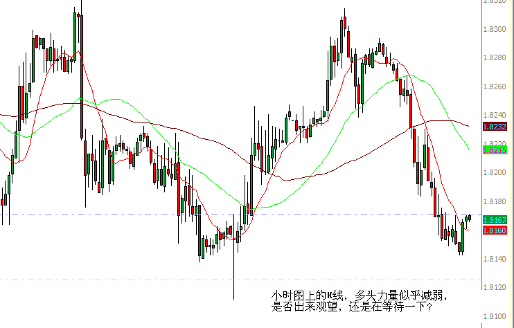cat1.gif