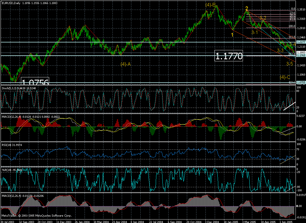 eur-daily05072005d.gif