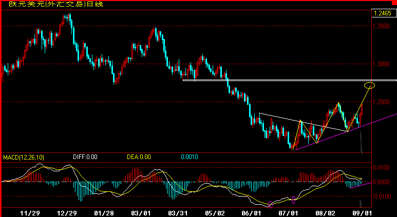EUR.gif