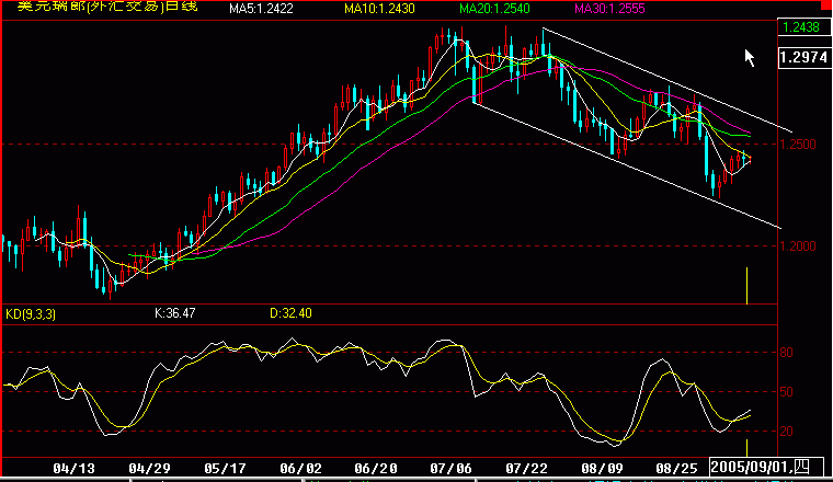 c1.gif