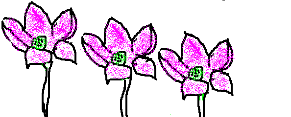 5.gif
