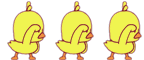7728.gif