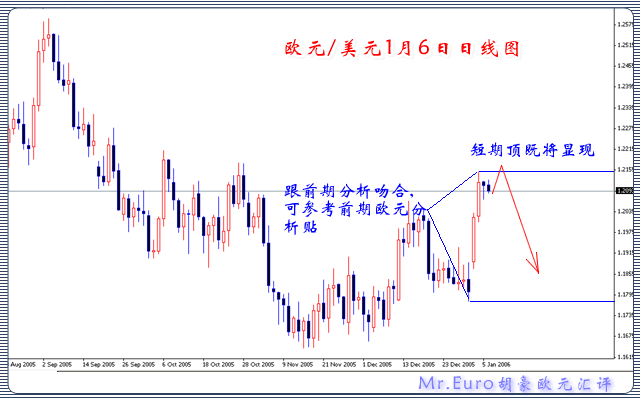 Mr.Euro胡豪欧元理财1月6日日线图.gif