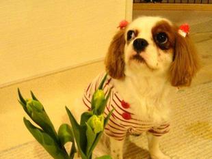 thumb_1139042663.jpg