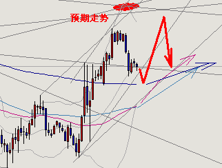 时空动量研究室走势分析报告.gif