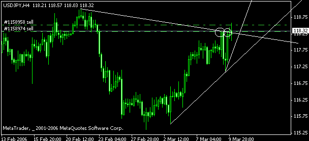 4.gif
