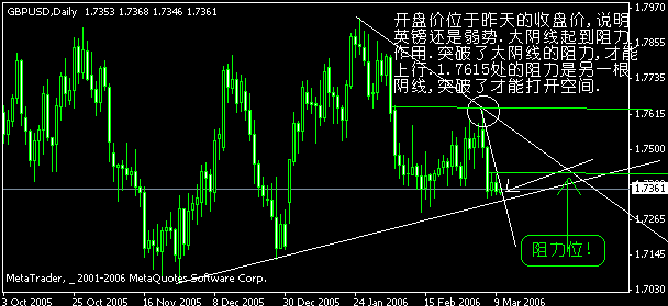 4.gif