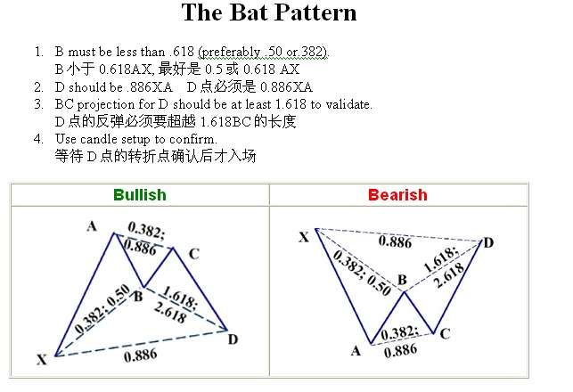 蝙蝠形态.jpg