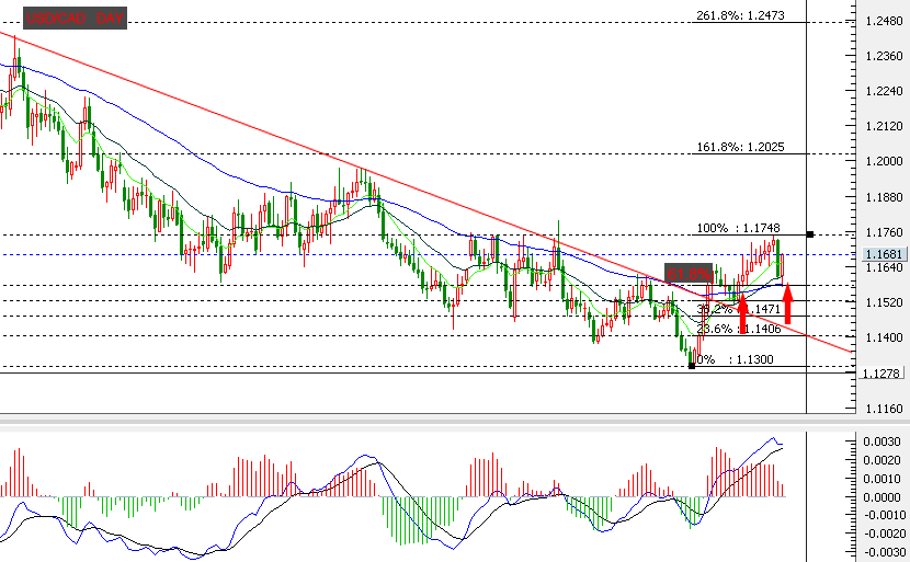 cad  day