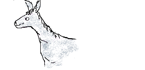 6.gif